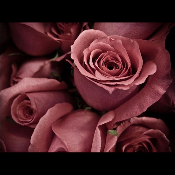 Not For Sale - Picture 1 of 1